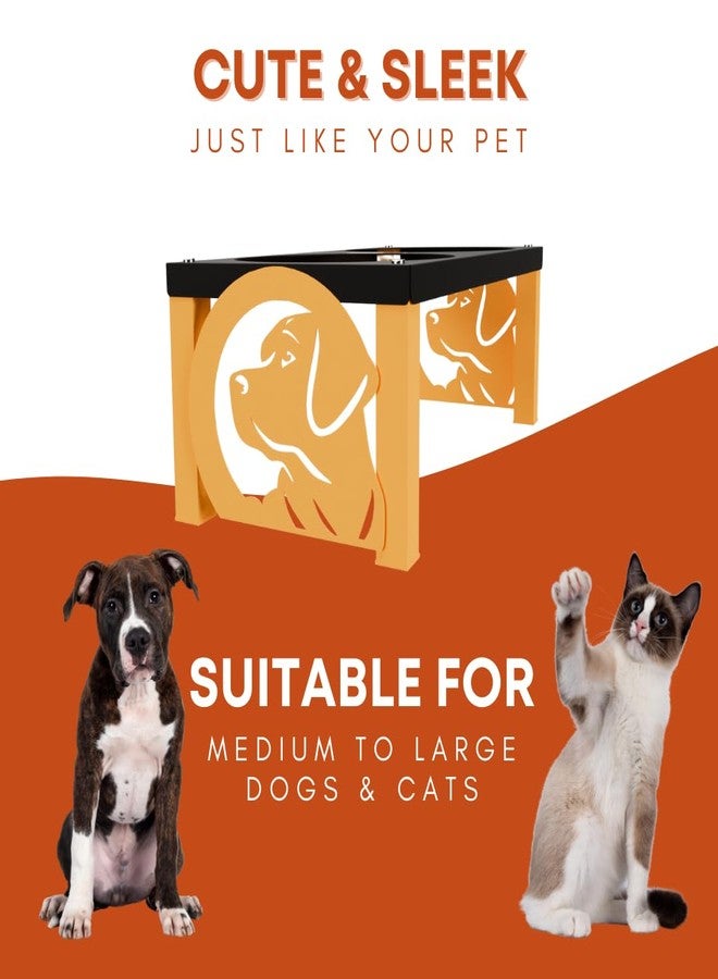 كوجو وعاء طعام COGO Masty للحيوانات الأليفة | وعاءان من الفولاذ المقاوم للصدأ (سعة كل منهما 1000 مل) | أوعية طعام مرتفعة للكلاب والقطط متوسطة وكبيرة الحجم | 5.5 × 7.5 × 15 بوصة | إطار معدني قوي وثابت | اللون: برتقالي - Image 5